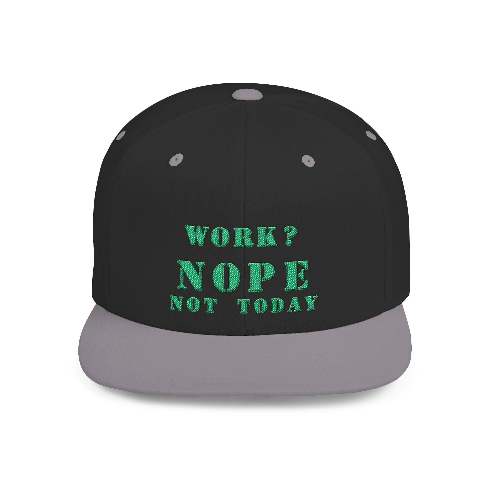 Nope Not Today / Flat Bill Snapback