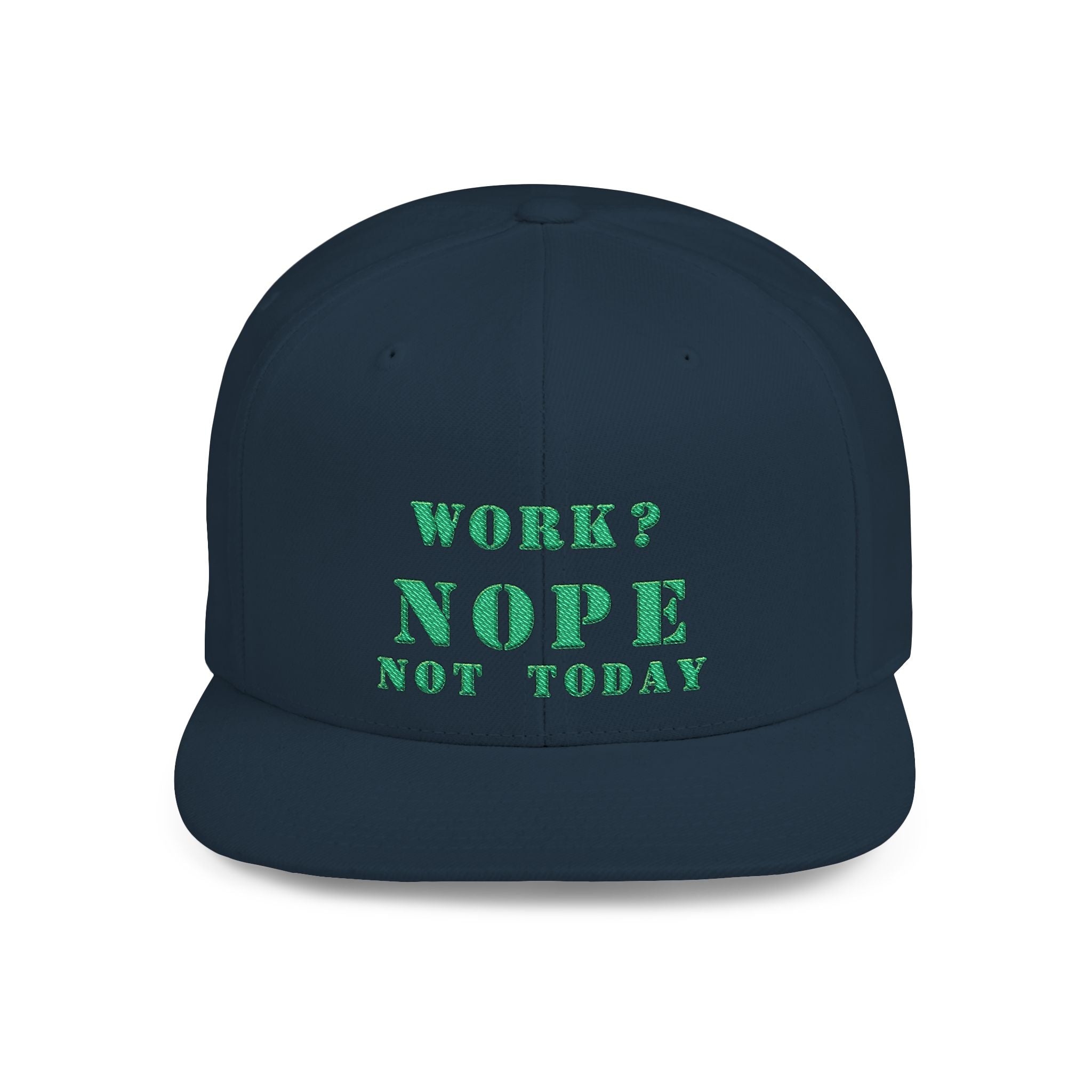Nope Not Today / Flat Bill Snapback