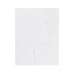 2/3 Evil Demon / Velveteen Plush Blanket