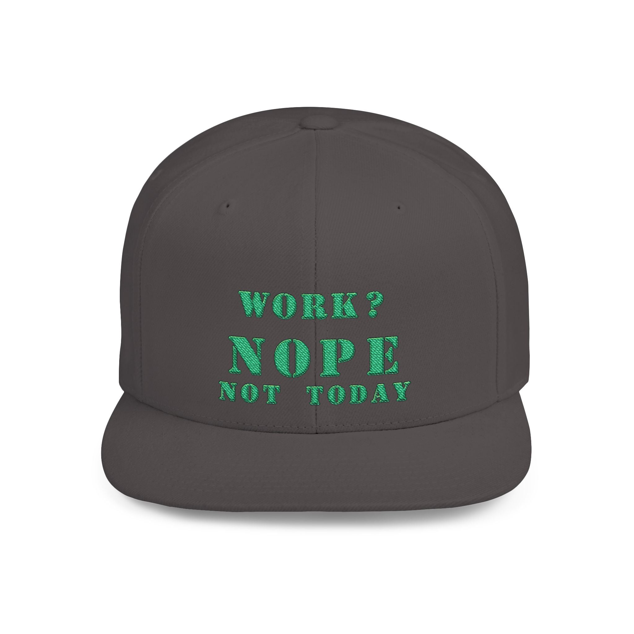 Nope Not Today / Flat Bill Snapback