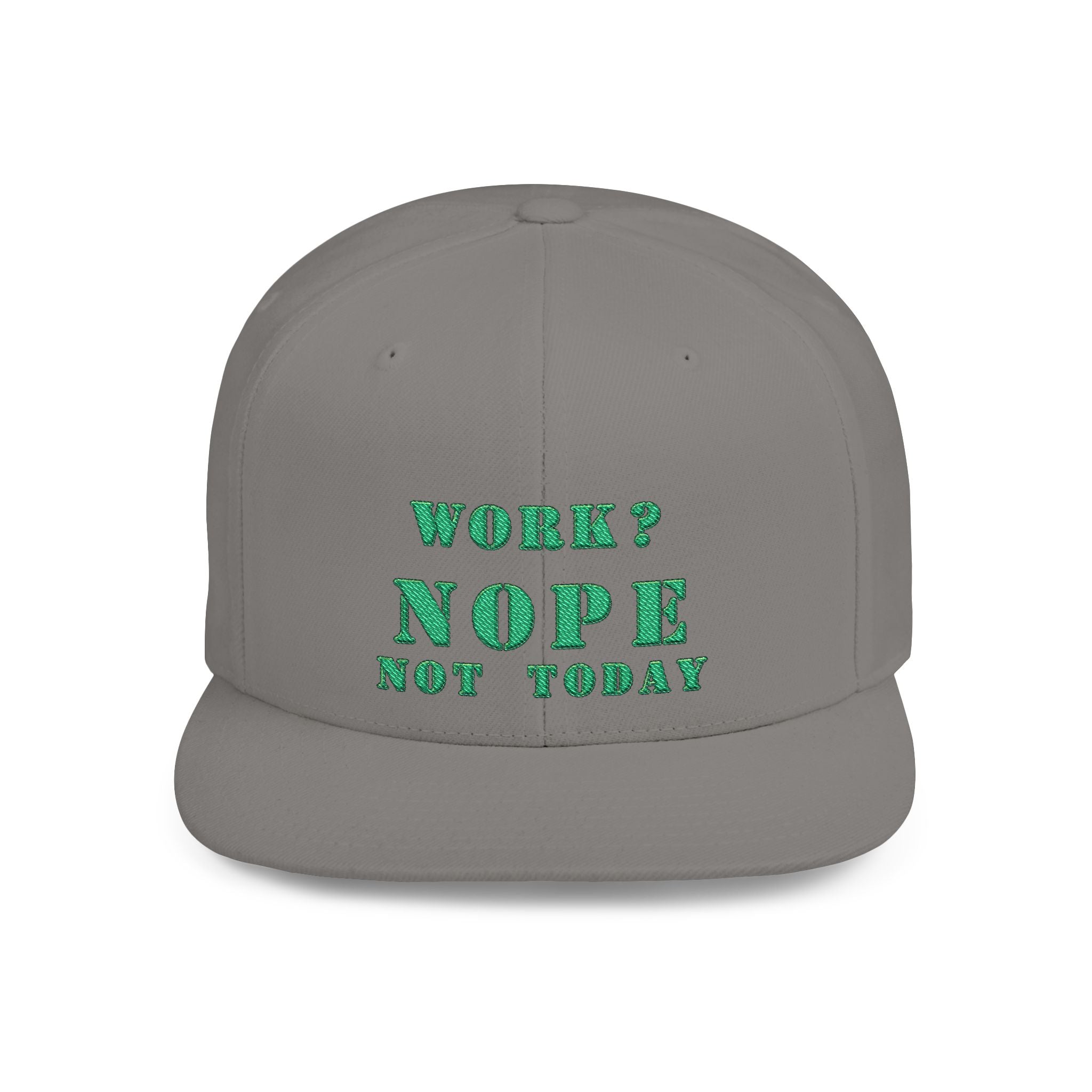 Nope Not Today / Flat Bill Snapback