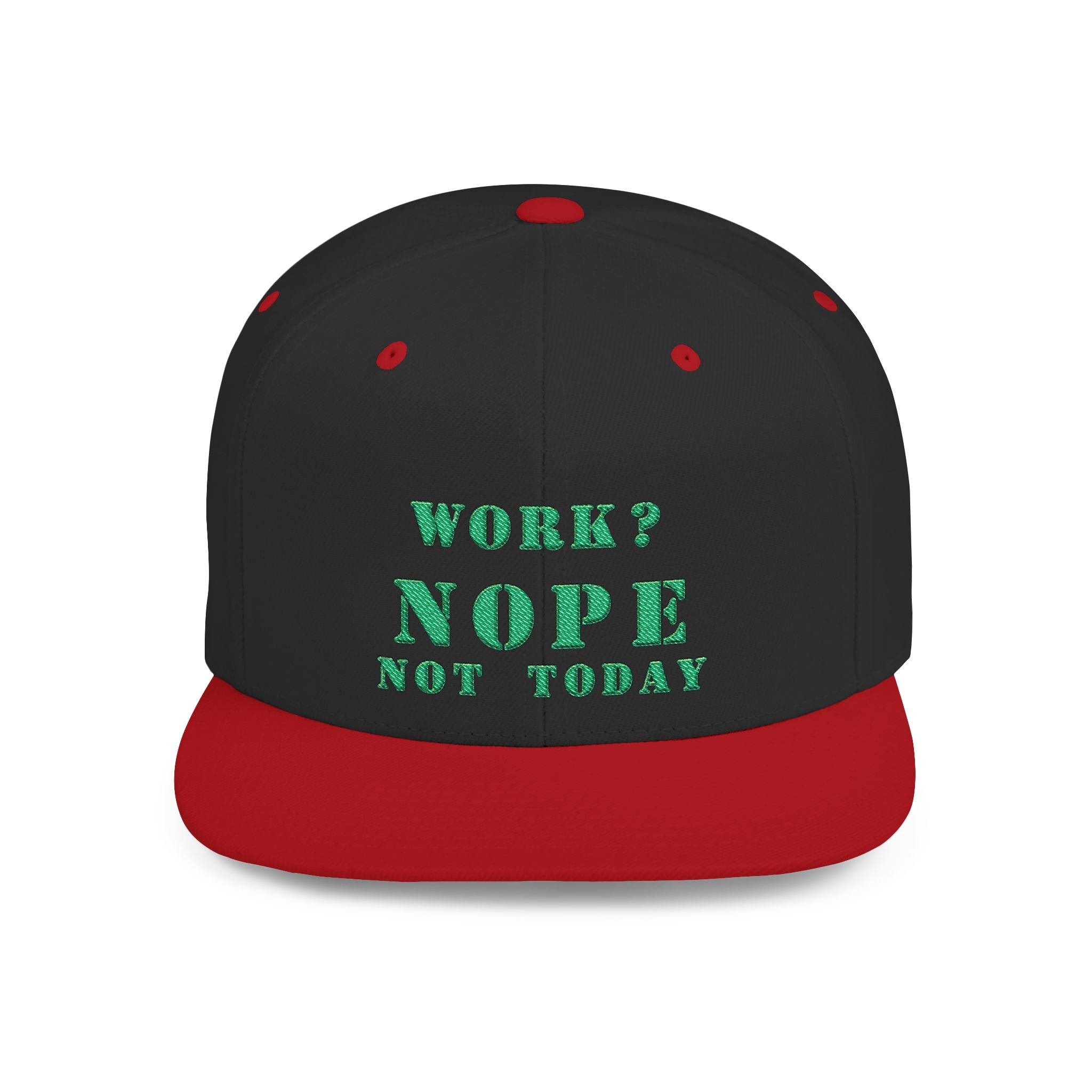 Nope Not Today / Flat Bill Snapback