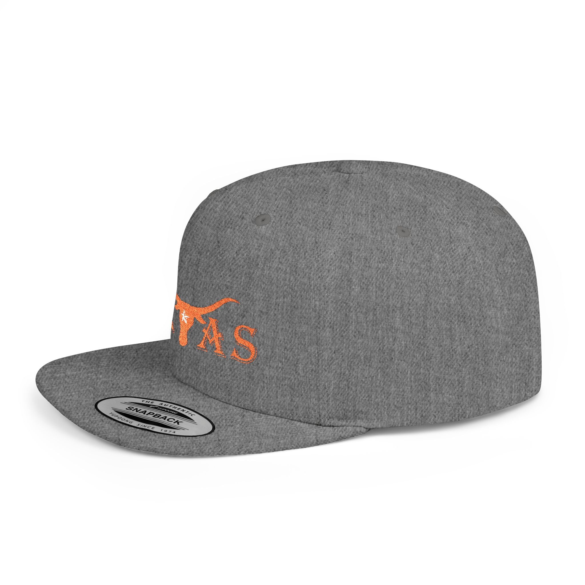 Texas Longhorns 2 / Flat Bill Snapback