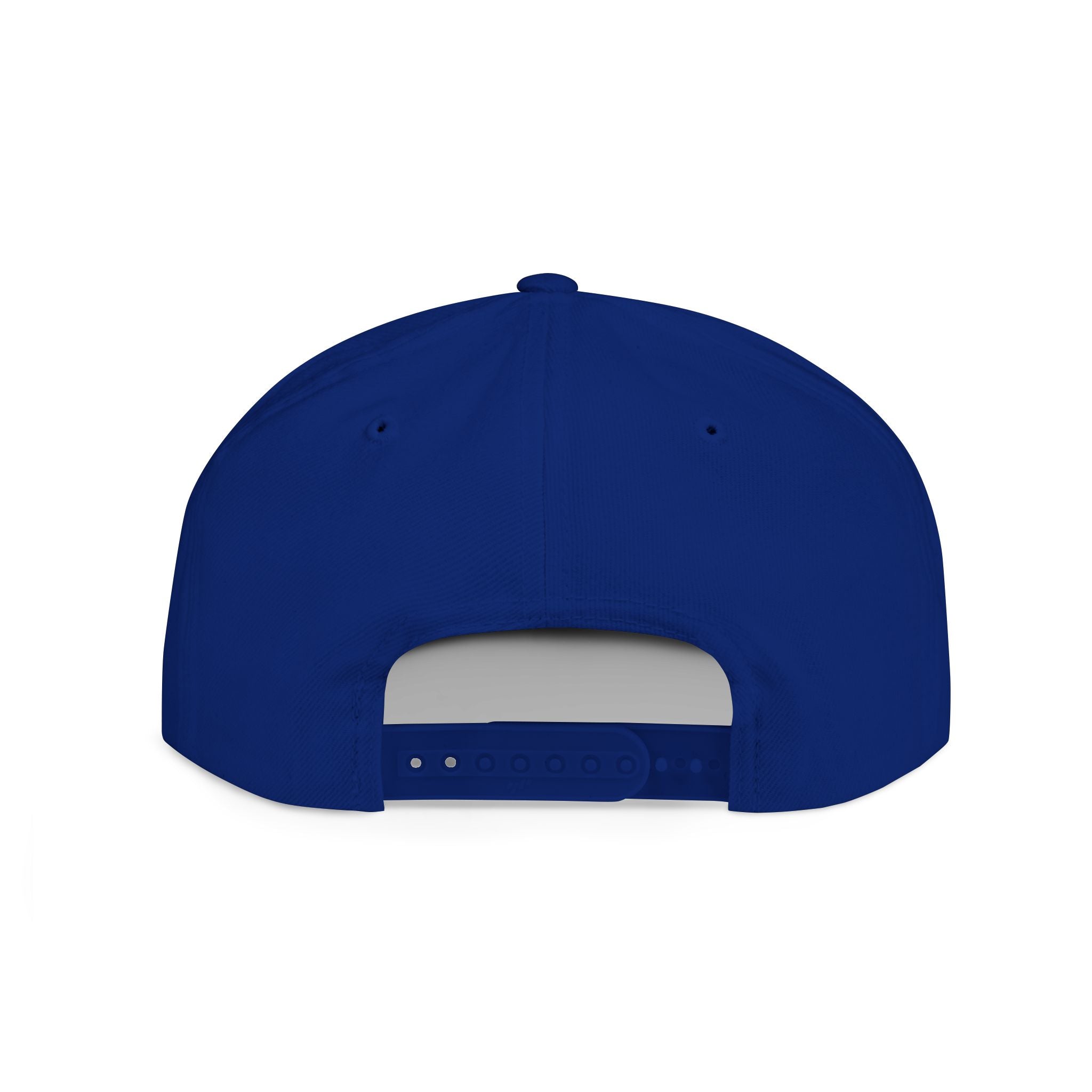 Nope Not Today / Flat Bill Snapback