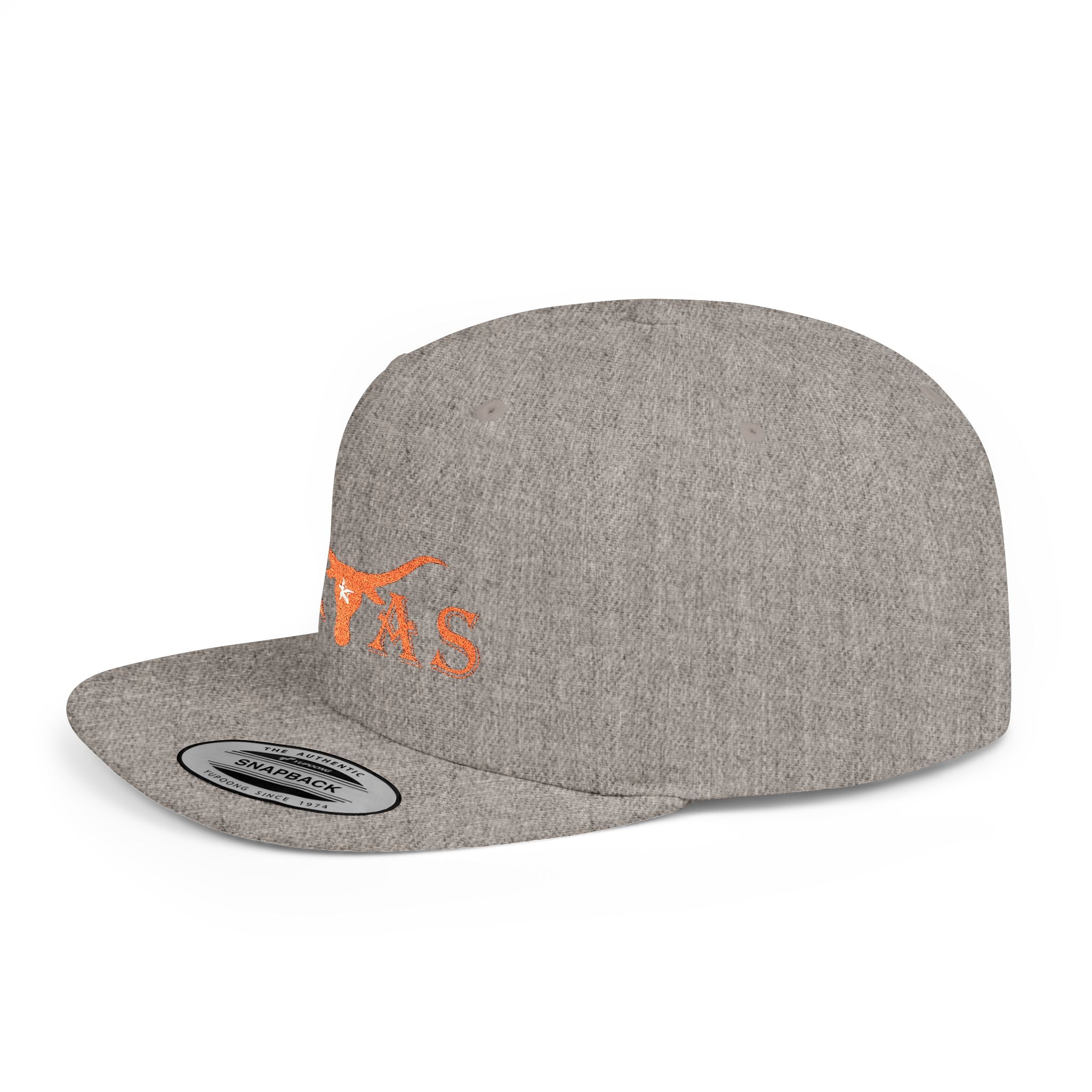 Texas Longhorns 2 / Flat Bill Snapback