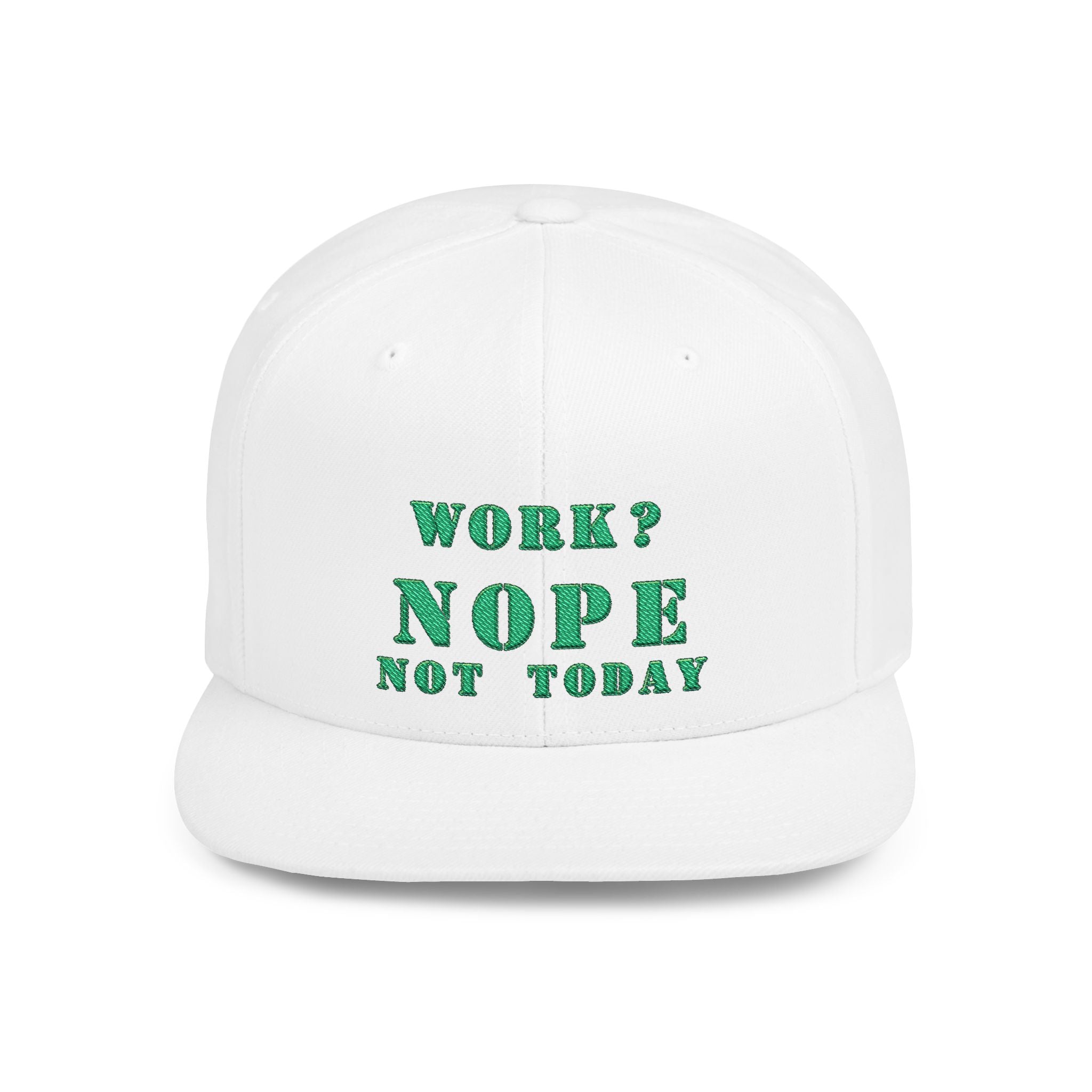 Nope Not Today / Flat Bill Snapback