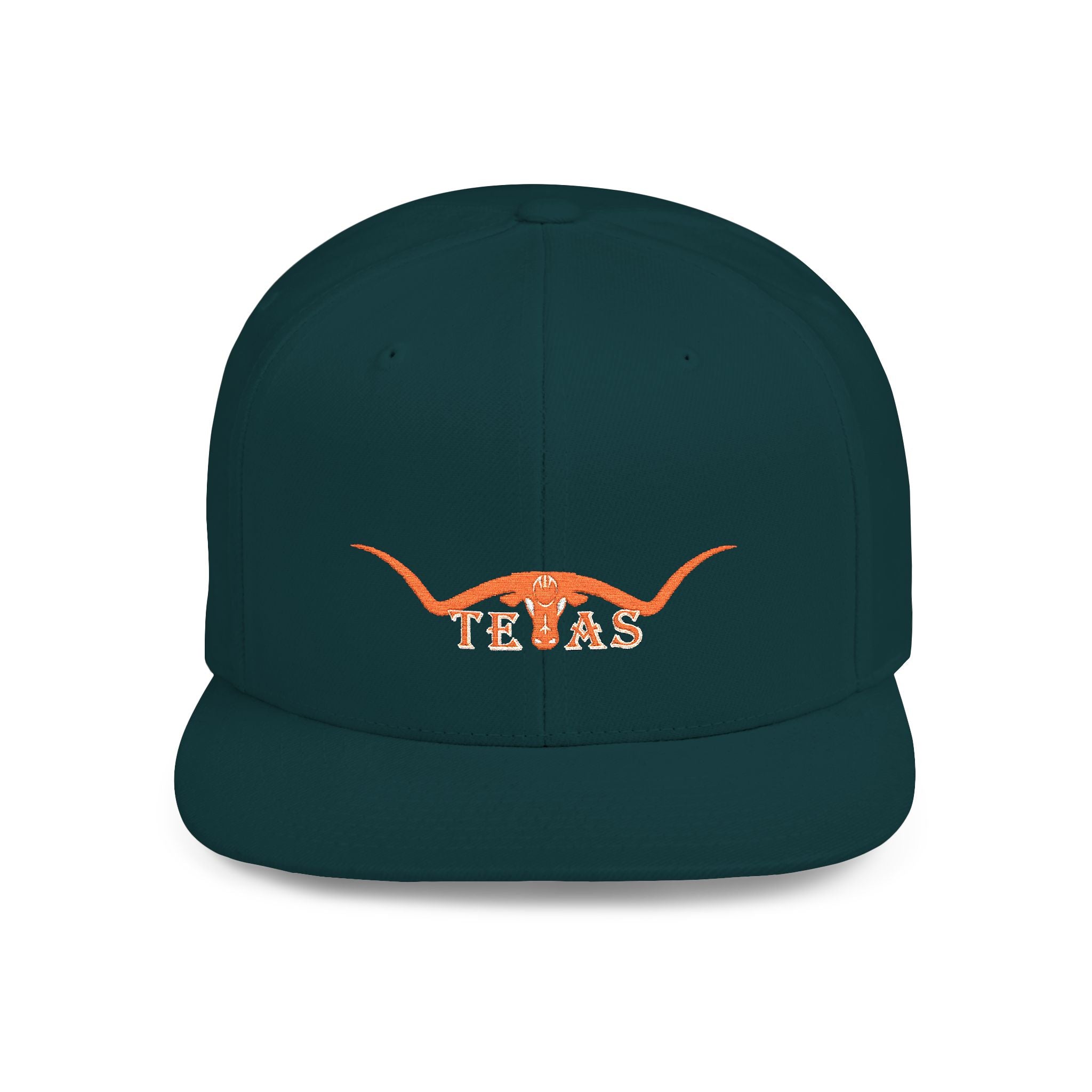 Texas Longhorns 2 / Flat Bill Snapback