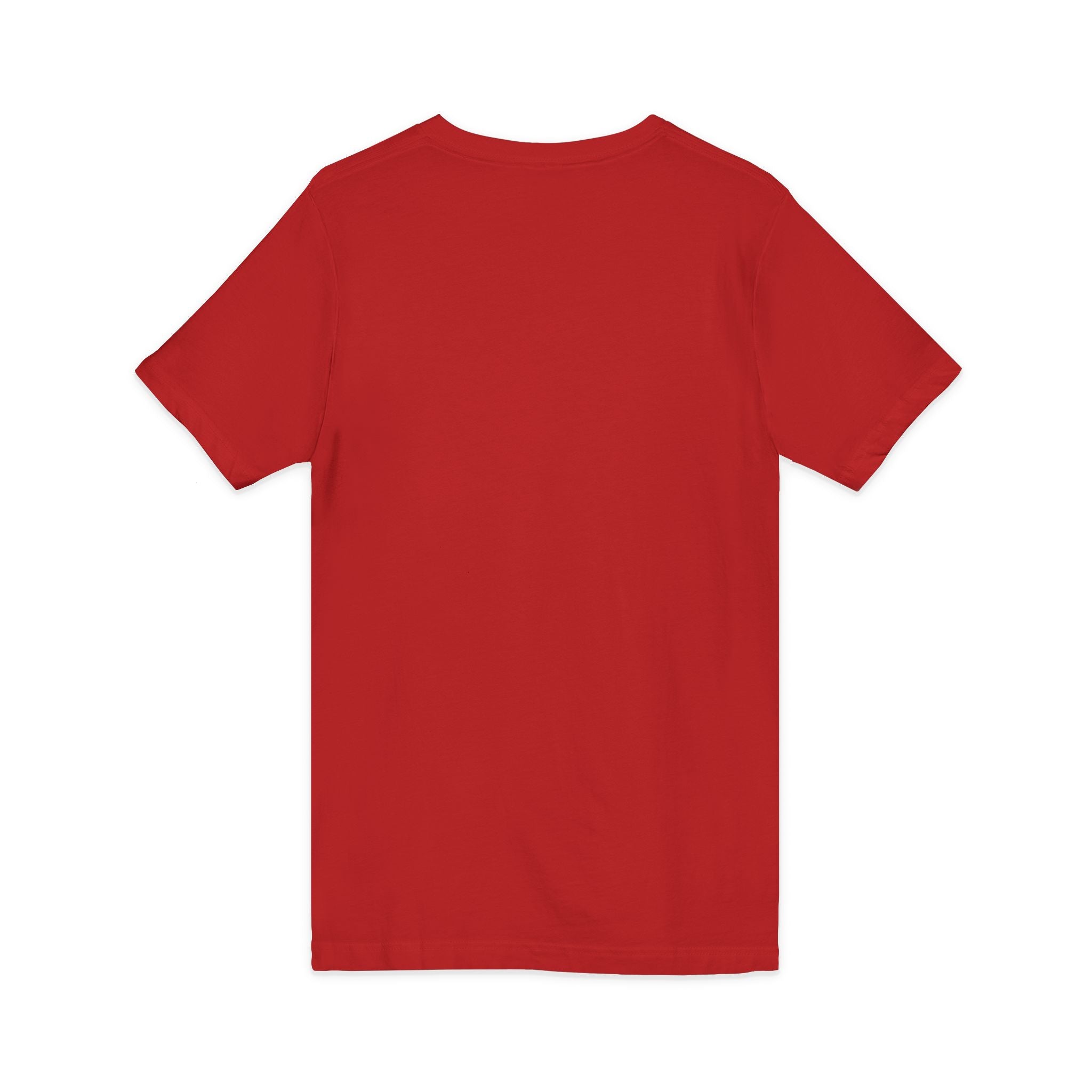 Straight Outta A Good Job / V-Neck Tee