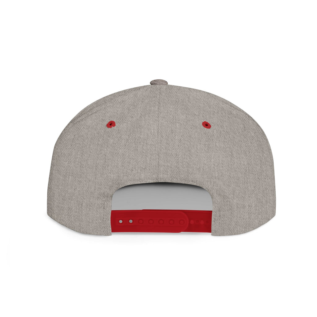 Nope Not Today / Flat Bill Snapback