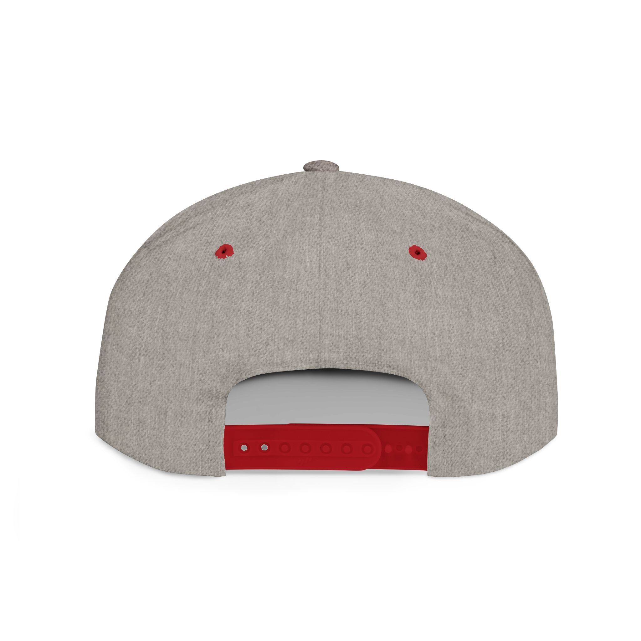 Nope Not Today / Flat Bill Snapback