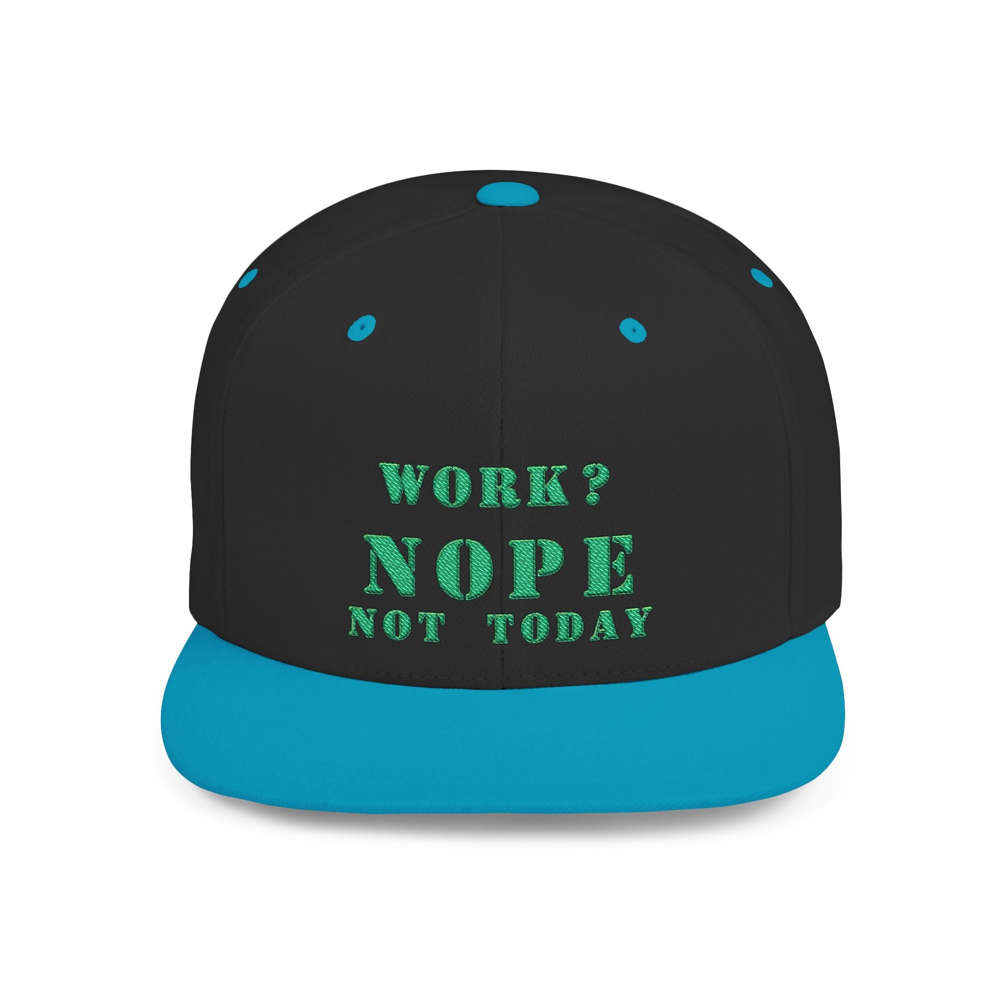 Nope Not Today / Flat Bill Snapback