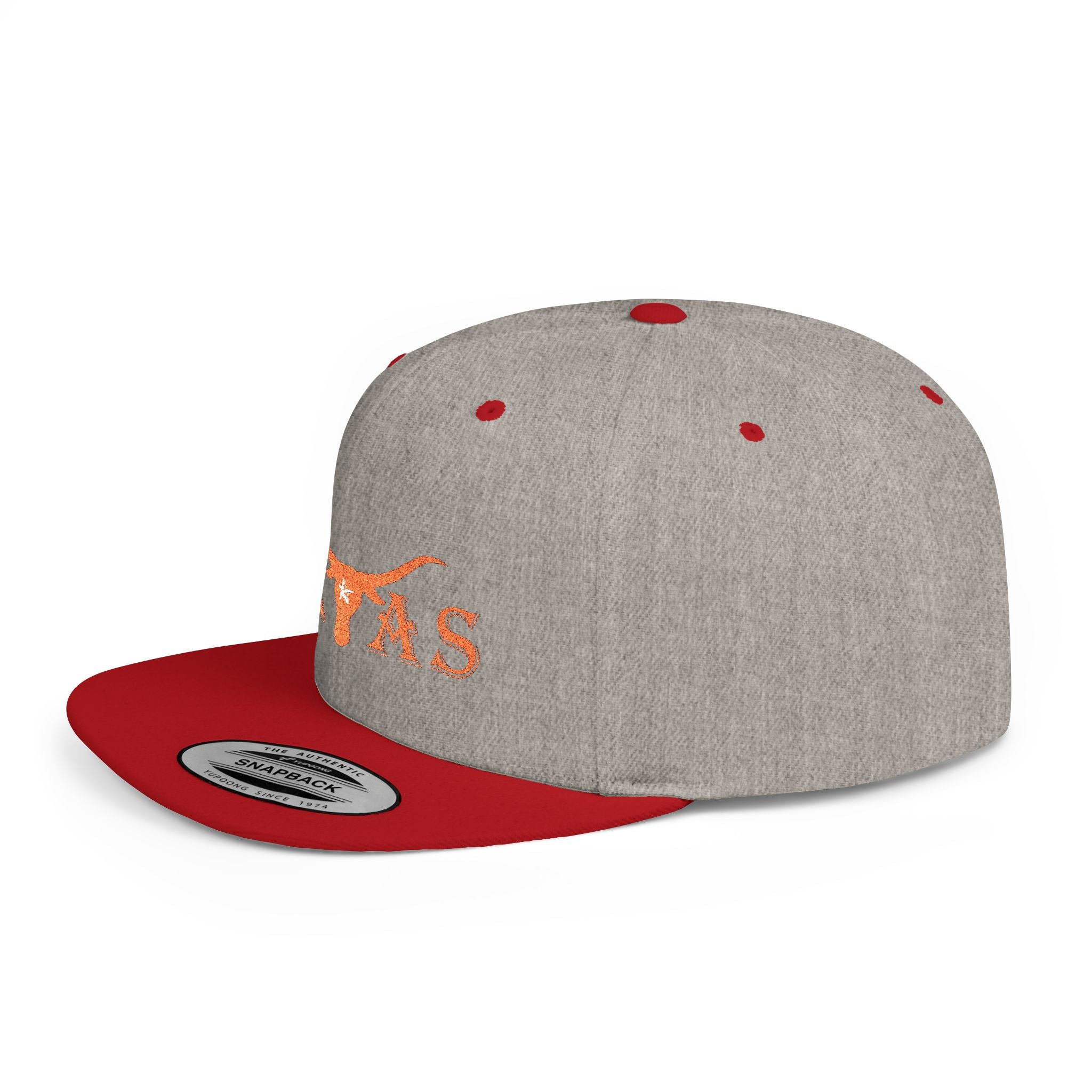 Texas Longhorns 2 / Flat Bill Snapback