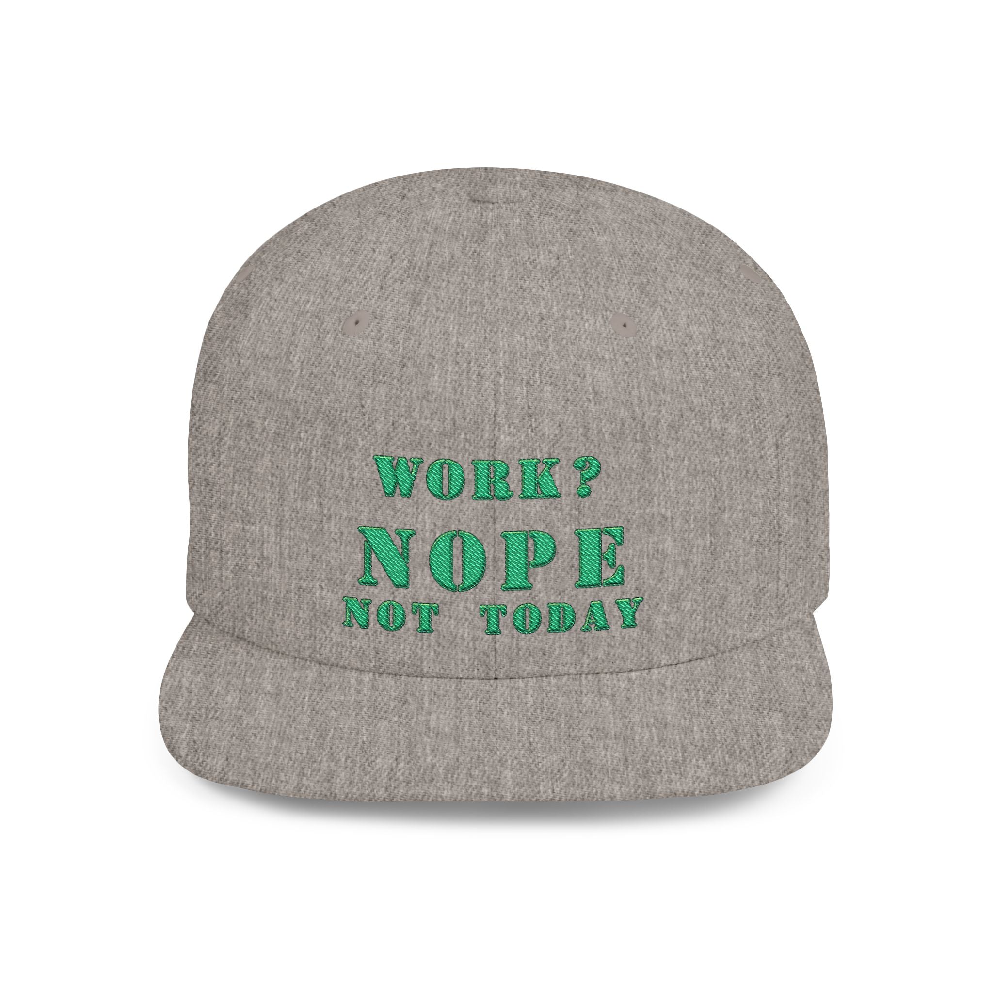 Nope Not Today / Flat Bill Snapback