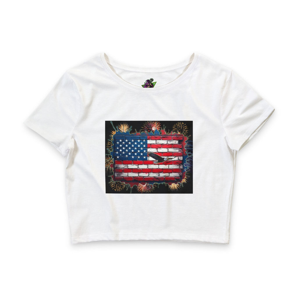 American Brick Flag Fireworks / Crop Tee