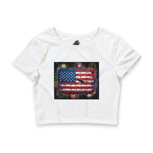 American Brick Flag Fireworks / Crop Tee