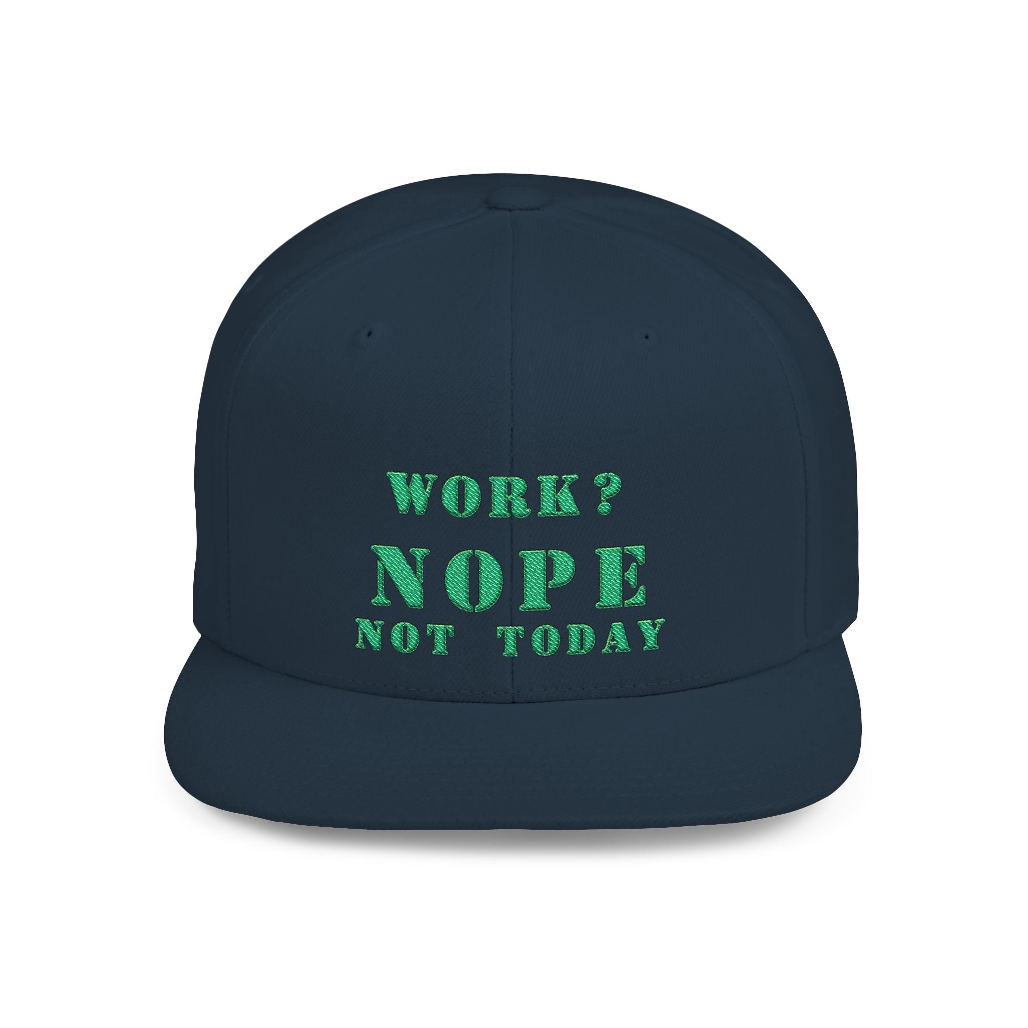 Nope Not Today / Flat Bill Snapback