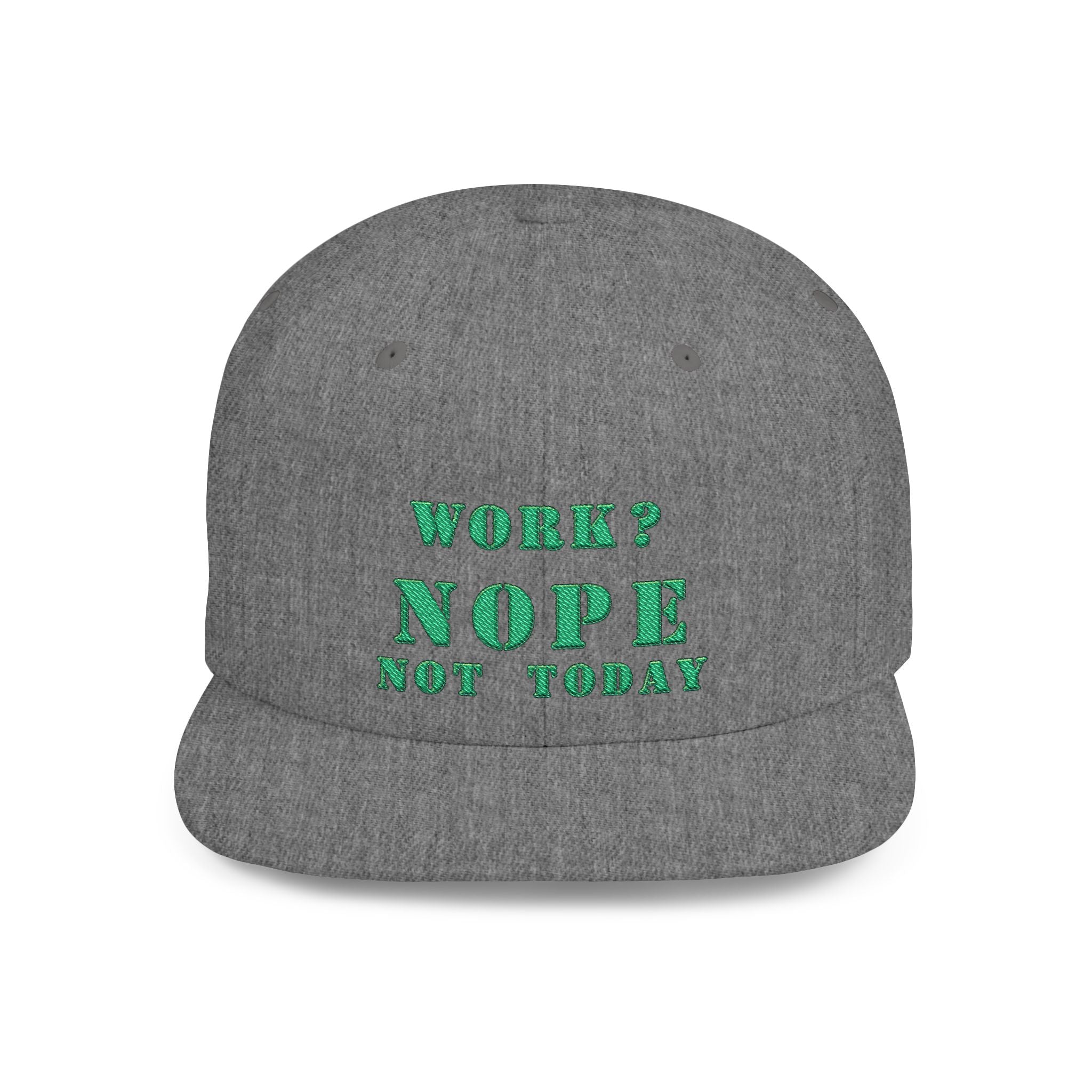 Nope Not Today / Flat Bill Snapback