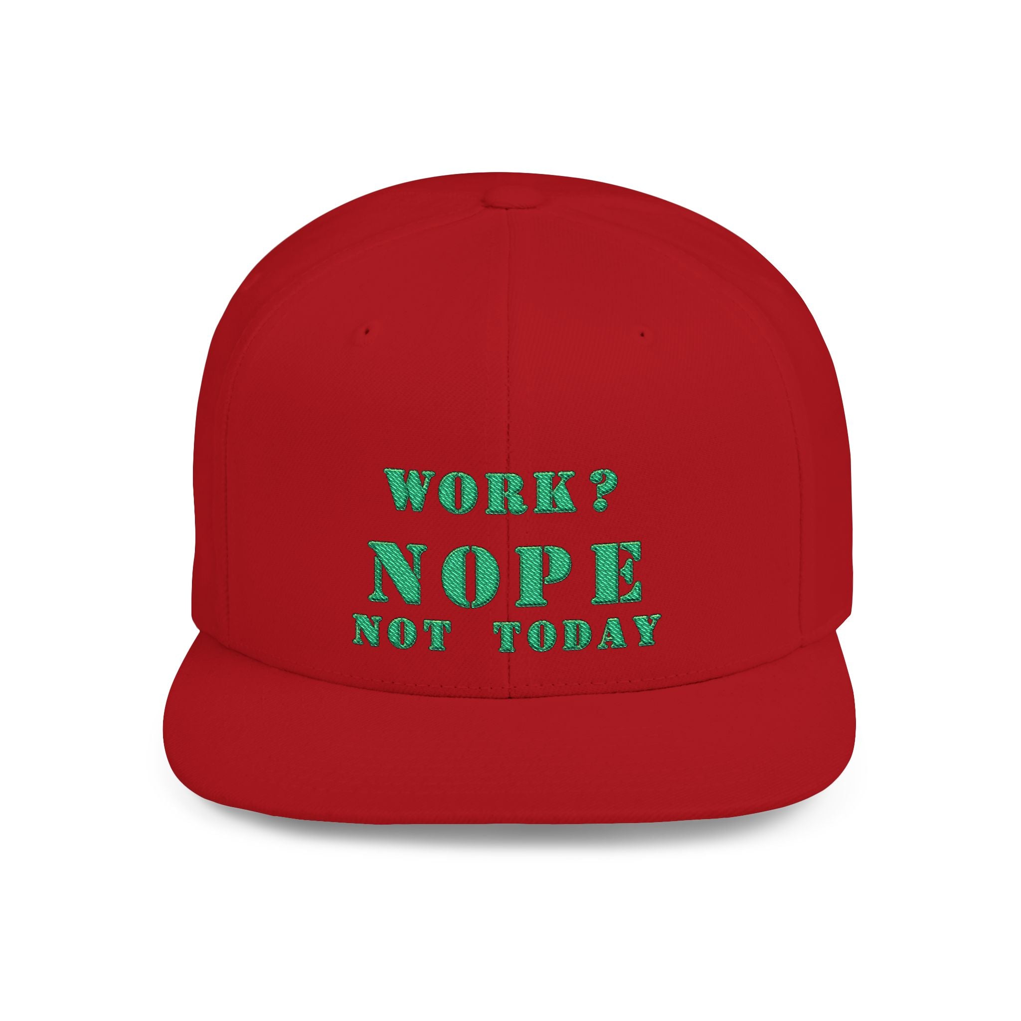 Nope Not Today / Flat Bill Snapback