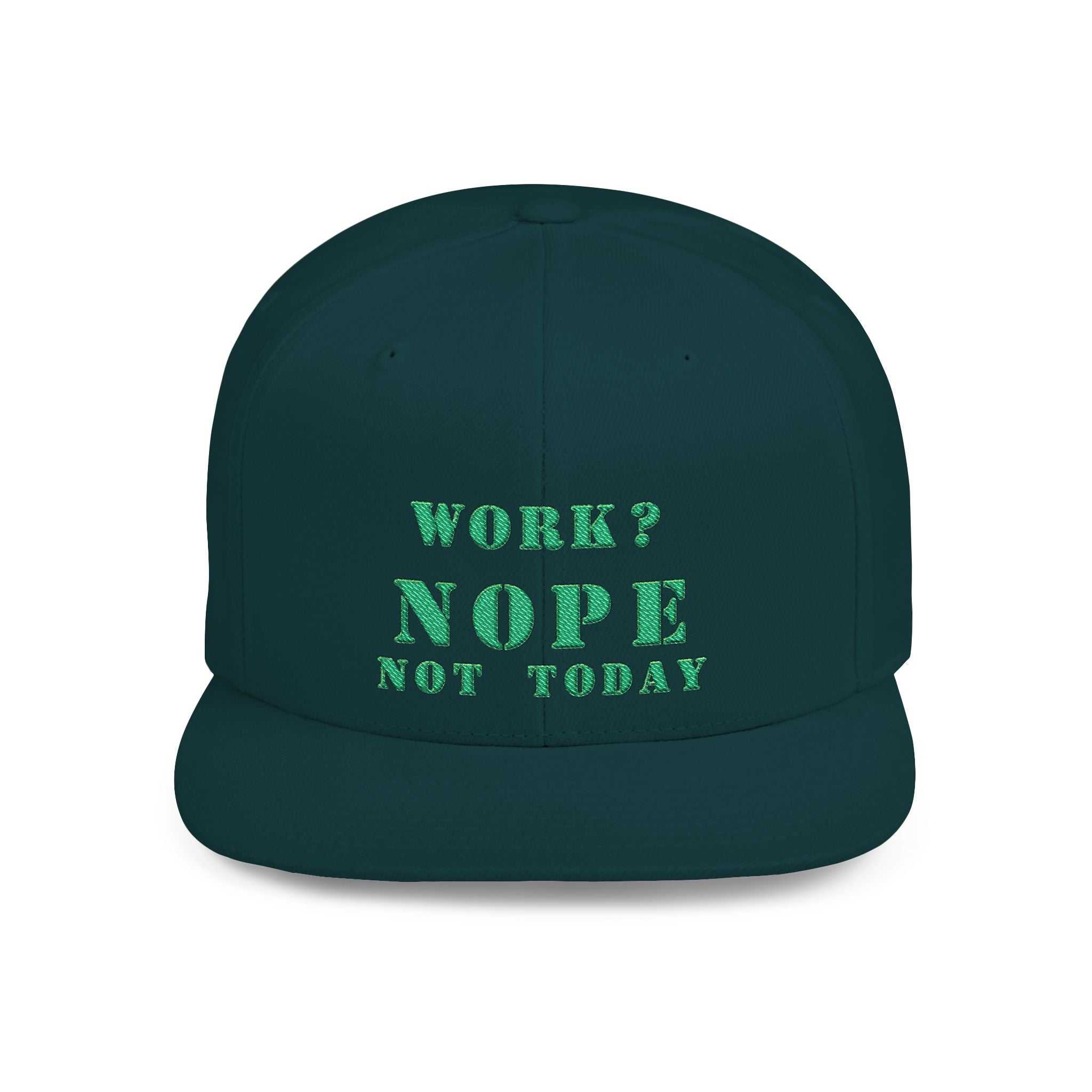 Nope Not Today / Flat Bill Snapback