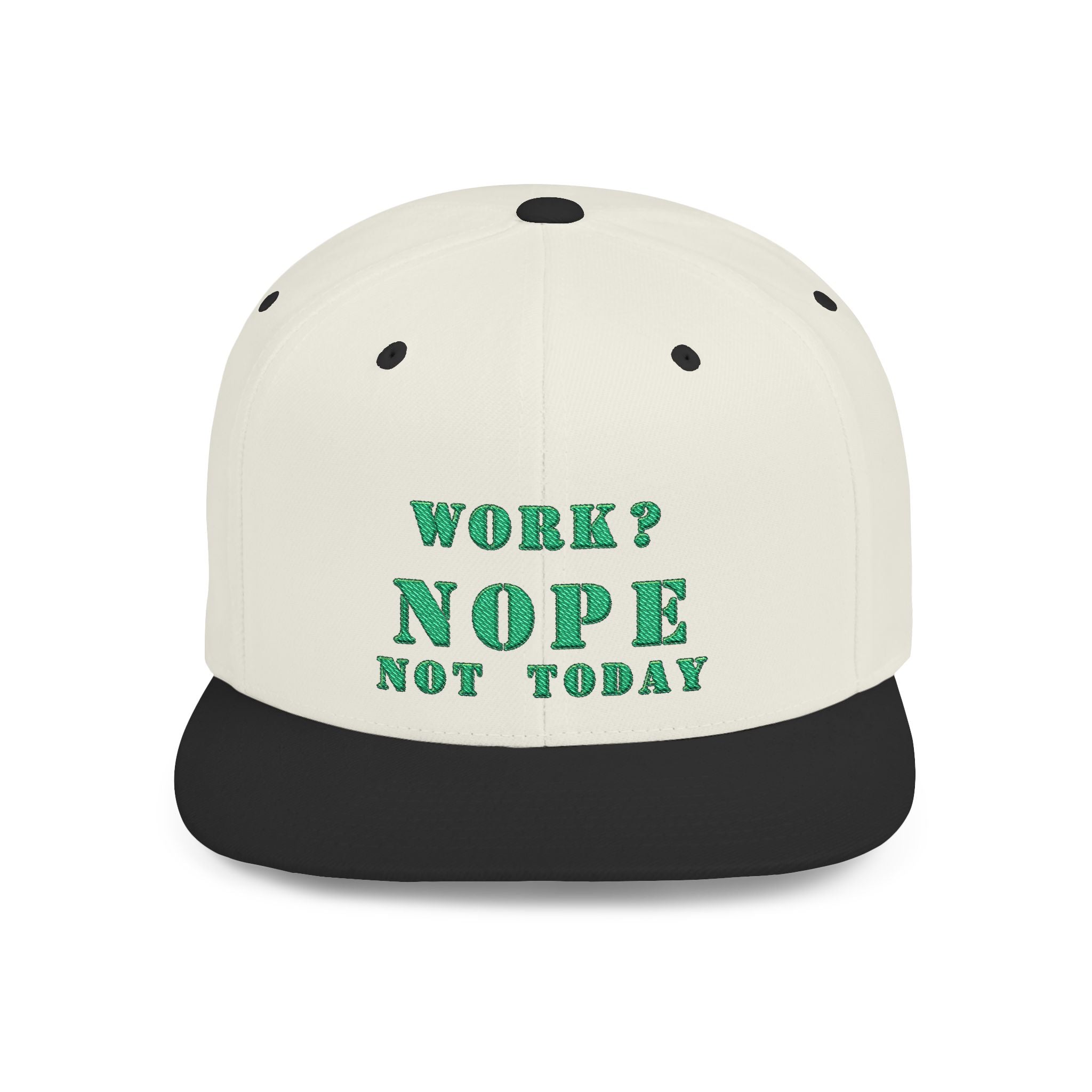 Nope Not Today / Flat Bill Snapback