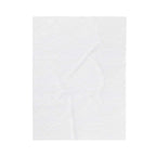 Oral-B Skills Wanted /Velveteen Plush Blanket