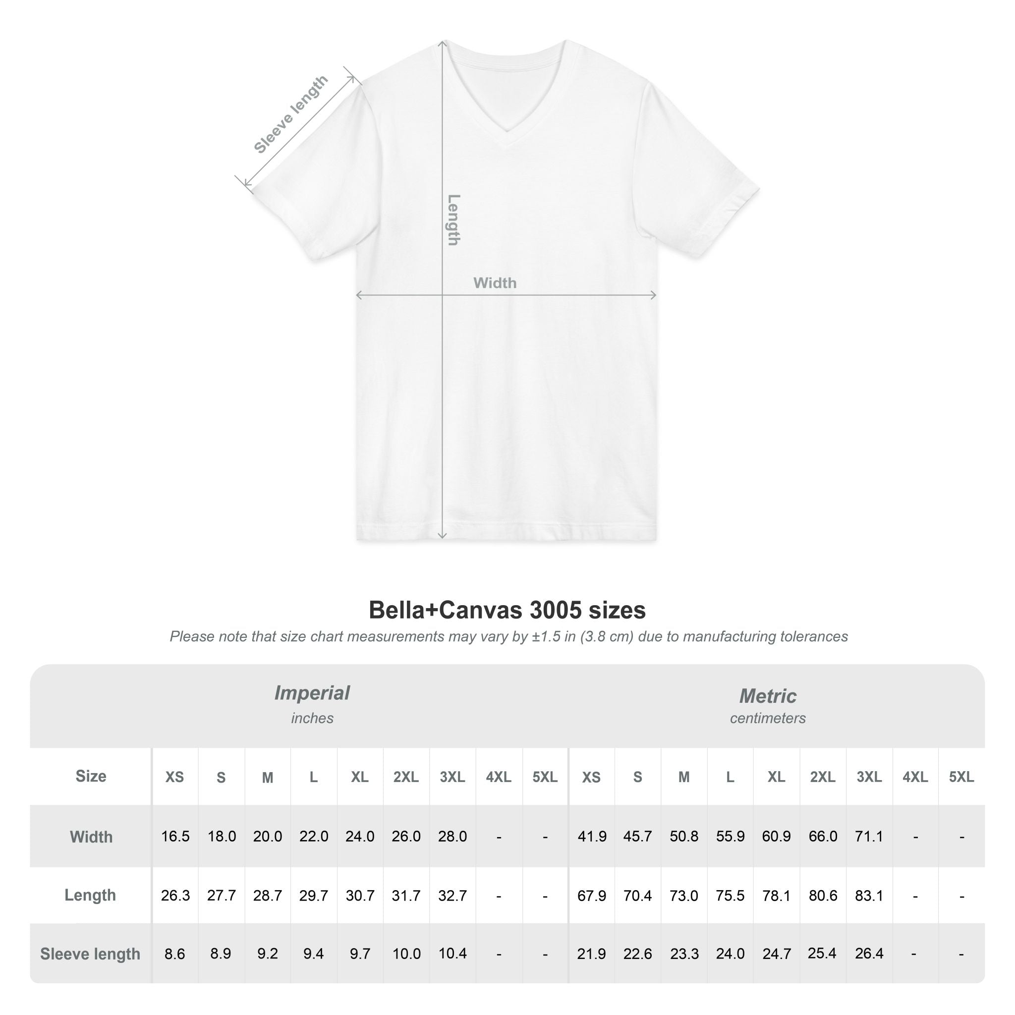 Ashes To Ashes Dust To Dust / V-Neck Tee