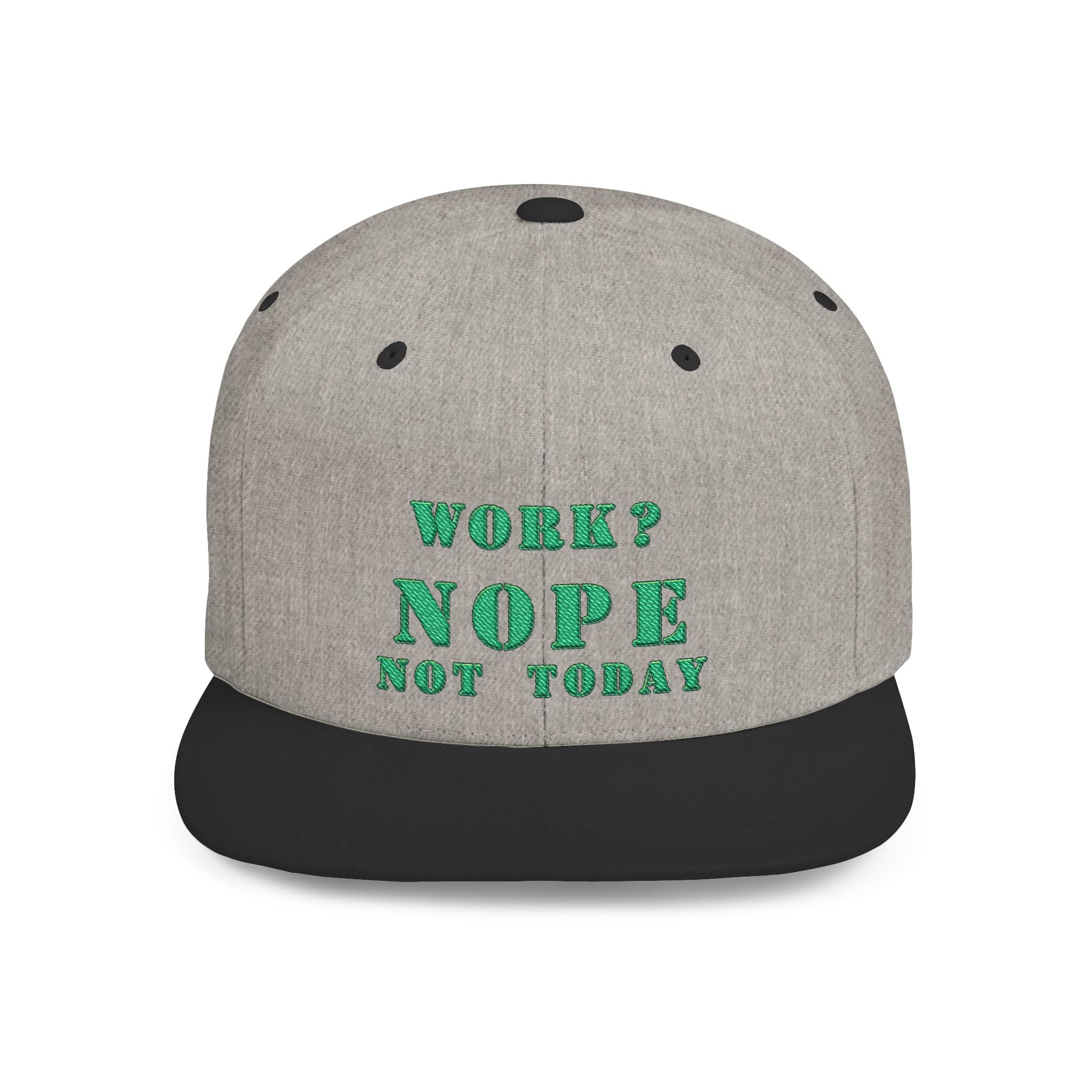 Nope Not Today / Flat Bill Snapback