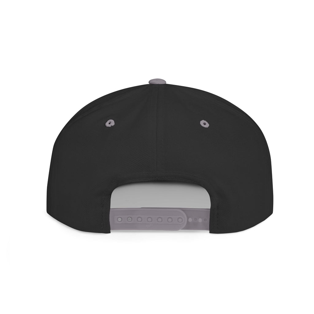 Nope Not Today / Flat Bill Snapback