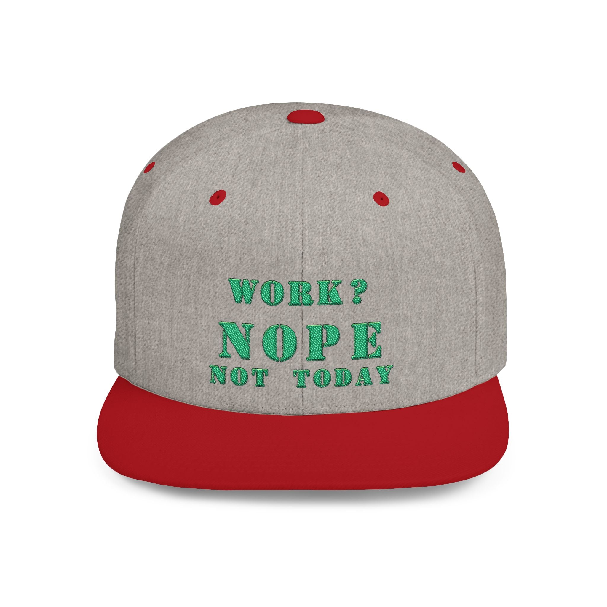 Nope Not Today / Flat Bill Snapback
