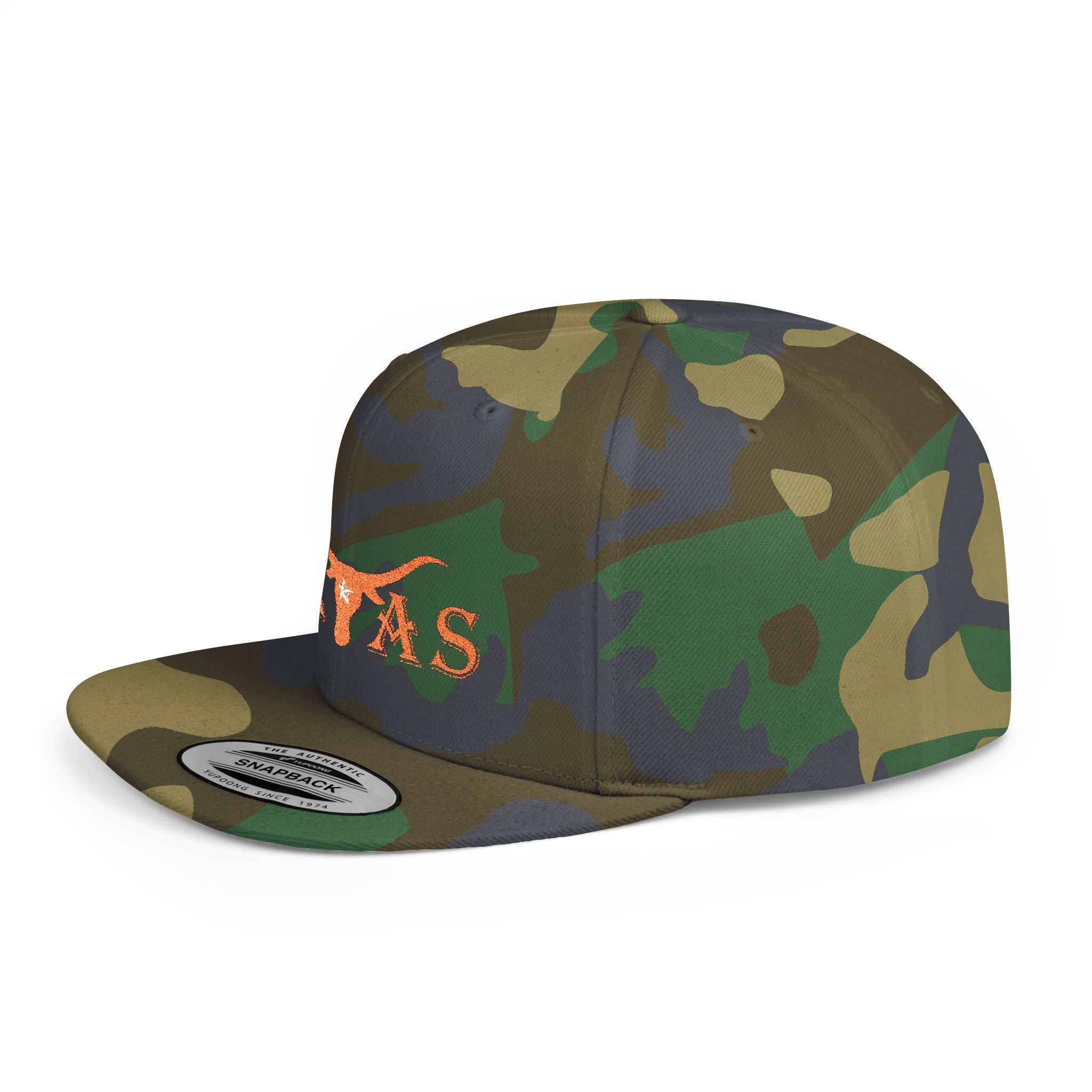 Texas Longhorns 2 / Flat Bill Snapback