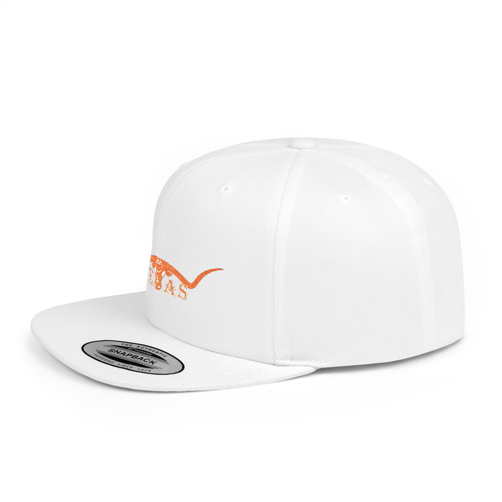 Texas Longhorns 2 / Flat Bill Snapback