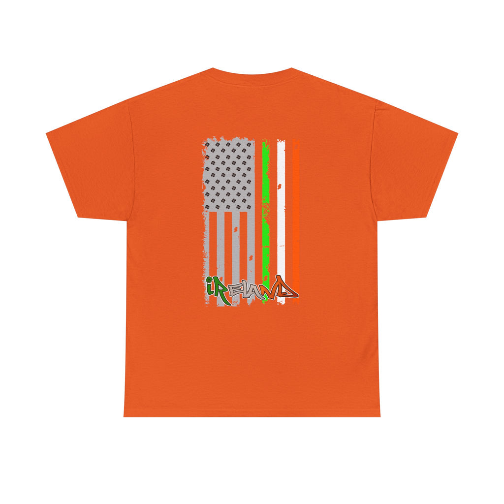 American / Ireland Flag  F&B